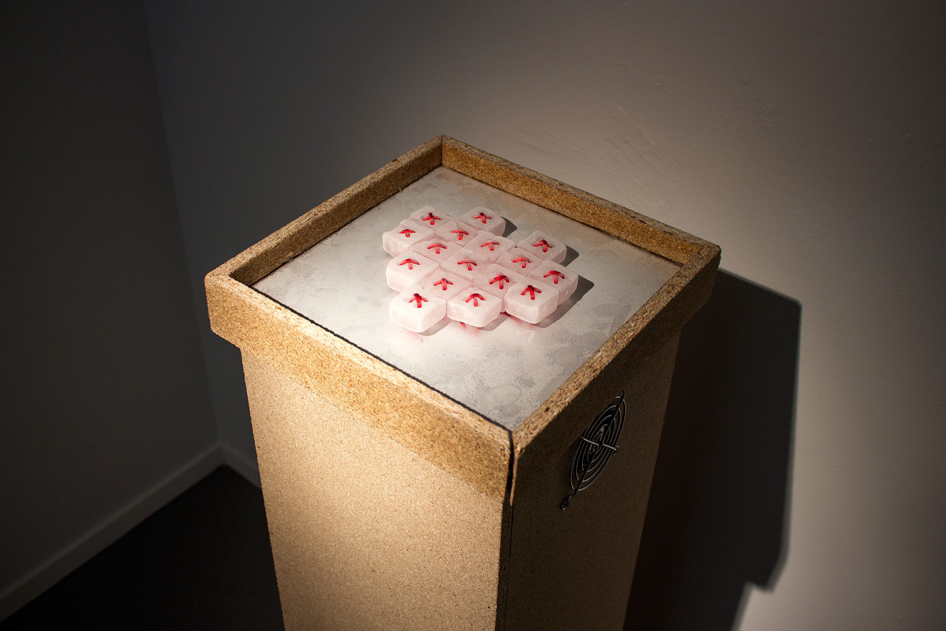 Installation photograph at Oriel Davies